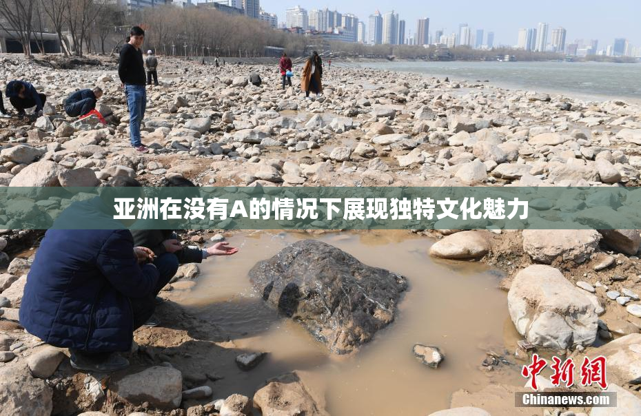 亚洲在没有A的情况下展现独特文化魅力