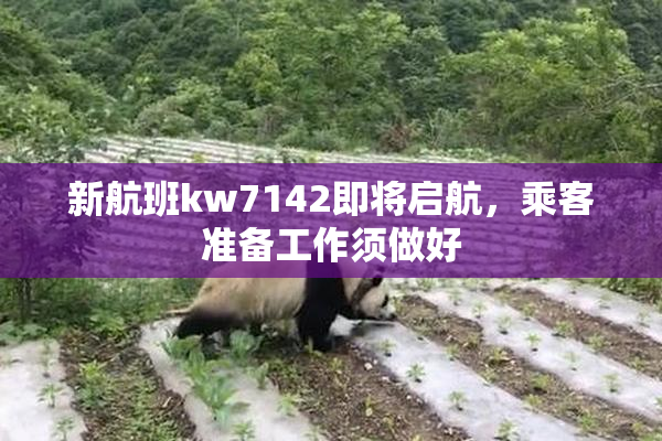 新航班kw7142即将启航，乘客准备工作须做好