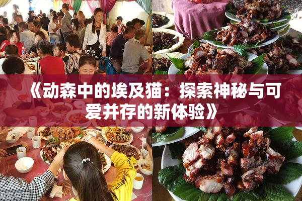 《动森中的埃及猫：探索神秘与可爱并存的新体验》