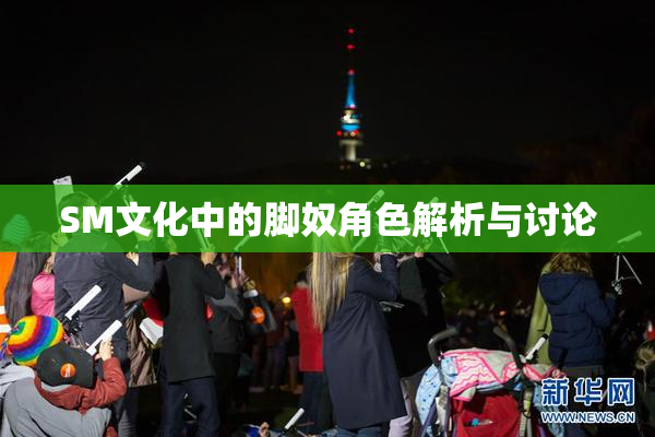 SM文化中的脚奴角色解析与讨论