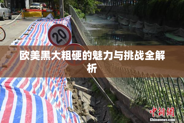 欧美黑大粗硬的魅力与挑战全解析