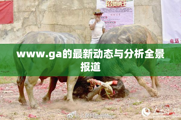 www.ga的最新动态与分析全景报道