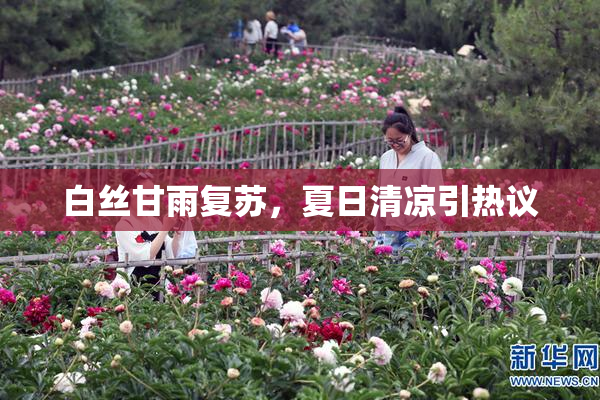 白丝甘雨复苏，夏日清凉引热议
