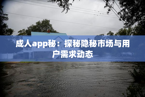 成人app秘：探秘隐秘市场与用户需求动态