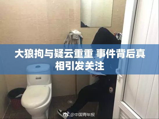 大狼拘与疑云重重 事件背后真相引发关注