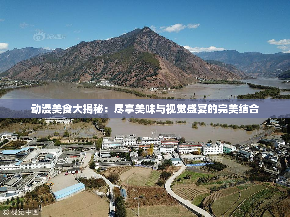 动漫美食大揭秘：尽享美味与视觉盛宴的完美结合