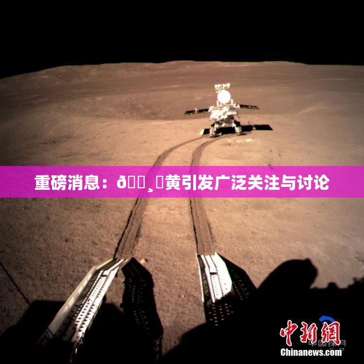 重磅消息：🌸‌黄引发广泛关注与讨论