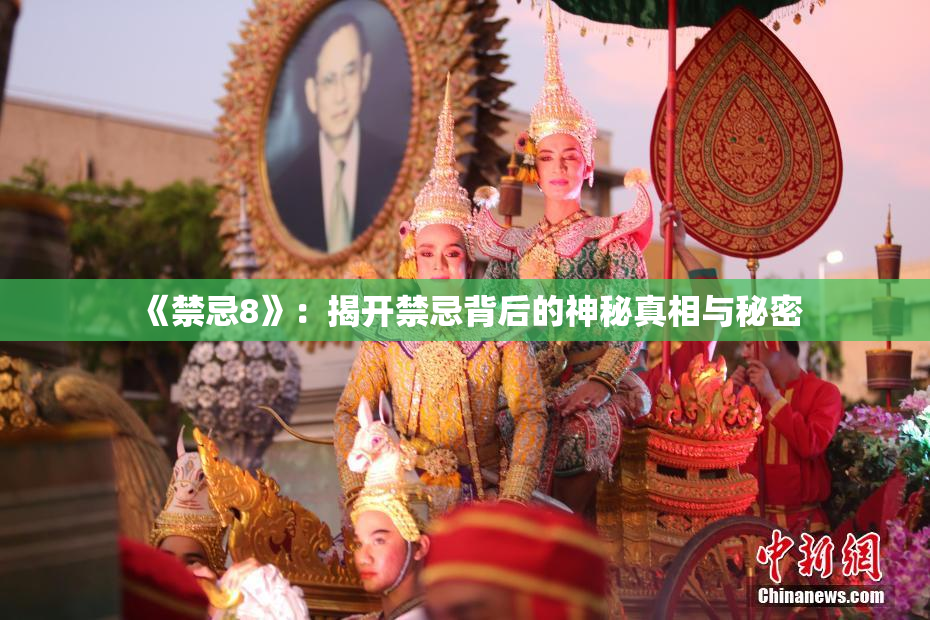 《禁忌8》：揭开禁忌背后的神秘真相与秘密