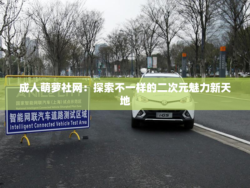 成人萌萝社网：探索不一样的二次元魅力新天地