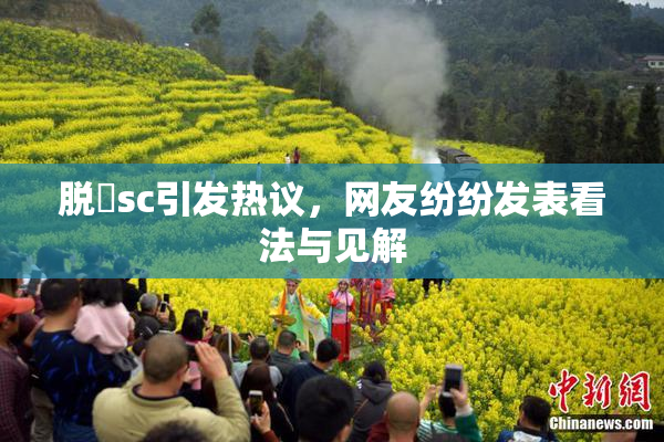 脱糞sc引发热议，网友纷纷发表看法与见解