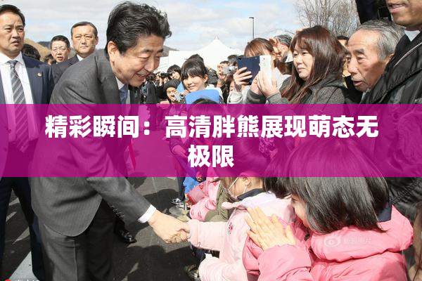 精彩瞬间：高清胖熊展现萌态无极限