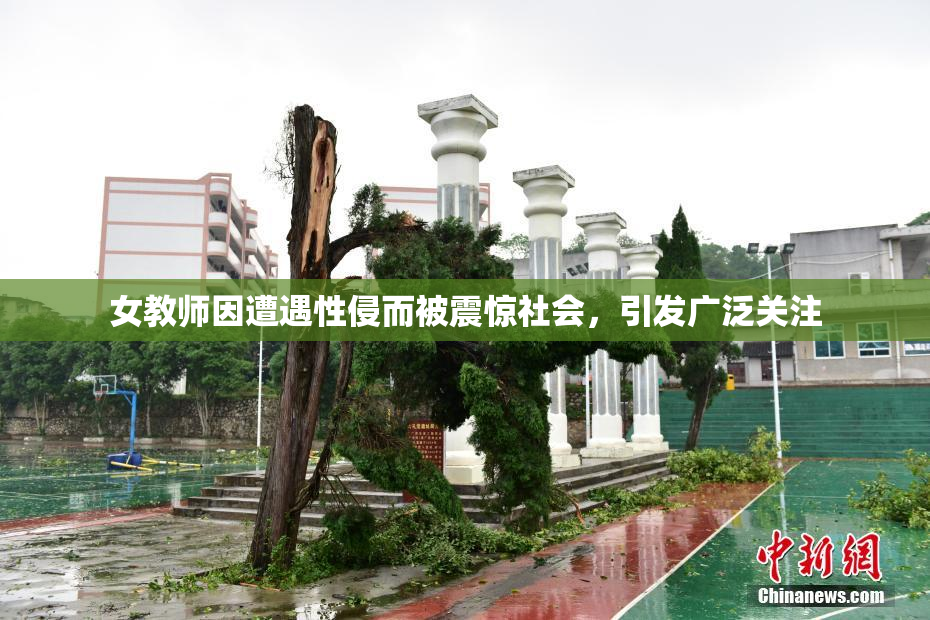 女教师因遭遇性侵而被震惊社会，引发广泛关注