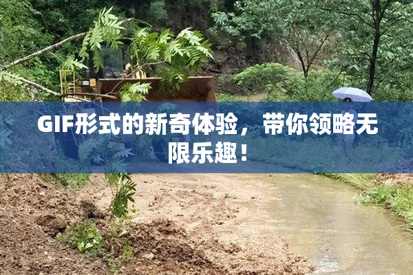 GIF形式的新奇体验，带你领略无限乐趣！