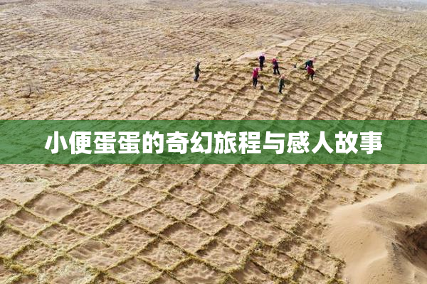 小便蛋蛋的奇幻旅程与感人故事