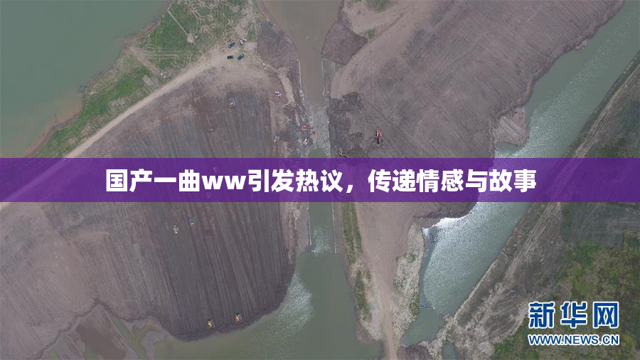 国产一曲ww引发热议，传递情感与故事