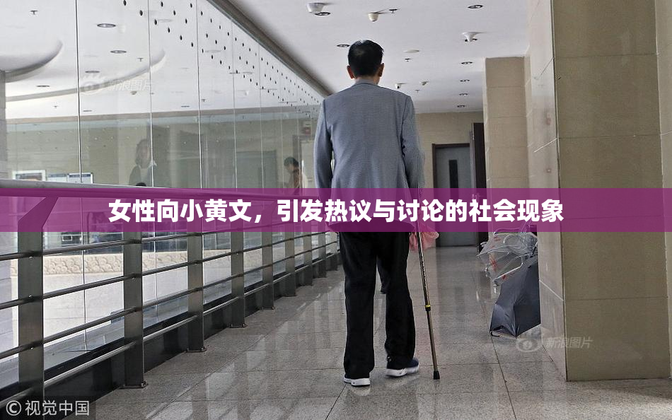 女性向小黄文，引发热议与讨论的社会现象