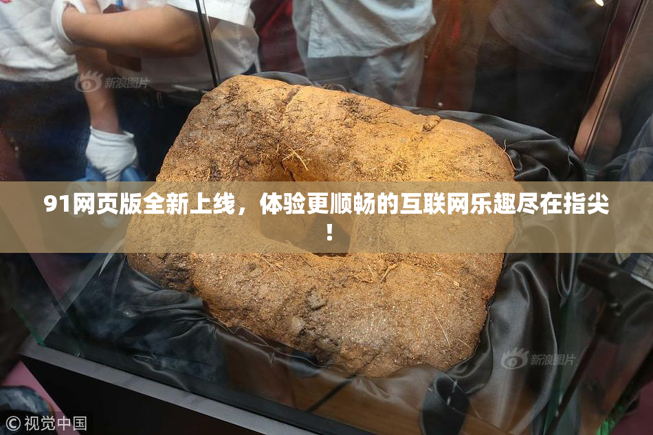 91网页版全新上线，体验更顺畅的互联网乐趣尽在指尖！