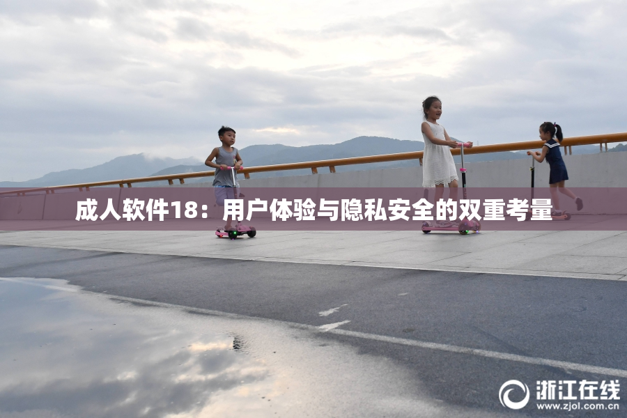 成人软件18：用户体验与隐私安全的双重考量