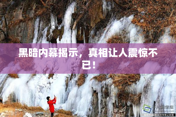 黑暗内幕揭示，真相让人震惊不已！