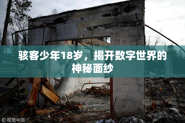 骇客少年18岁，揭开数字世界的神秘面纱