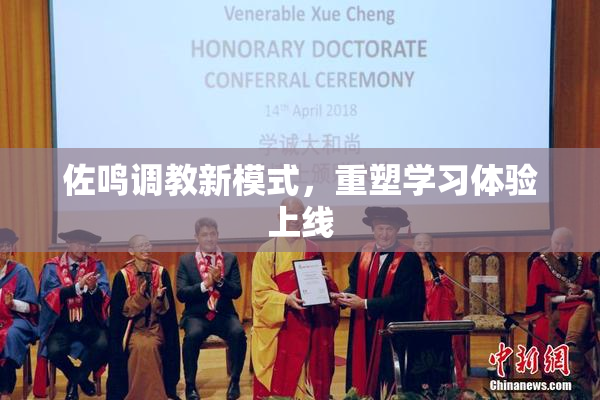 佐鸣调教新模式，重塑学习体验上线
