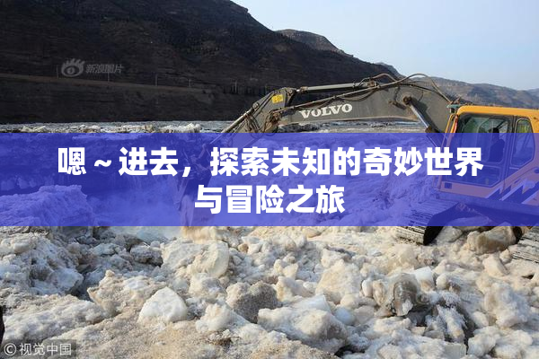 嗯～进去，探索未知的奇妙世界与冒险之旅
