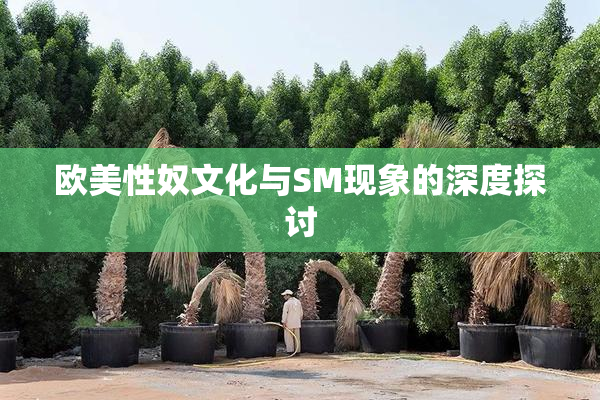 欧美性奴文化与SM现象的深度探讨