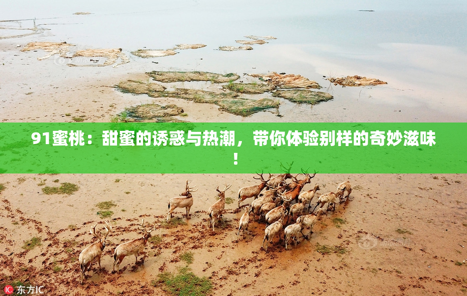 91蜜桃：甜蜜的诱惑与热潮，带你体验别样的奇妙滋味！