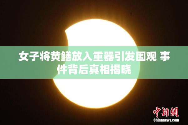 女子将黄鳝放入重器引发围观 事件背后真相揭晓