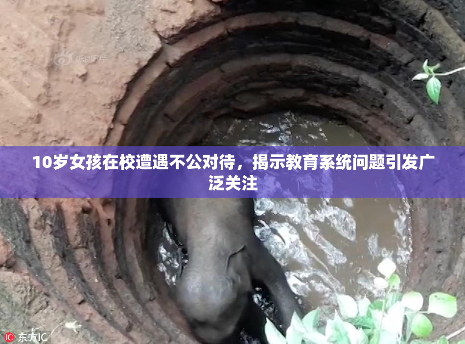 10岁女孩在校遭遇不公对待，揭示教育系统问题引发广泛关注
