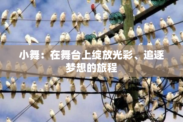 小舞：在舞台上绽放光彩、追逐梦想的旅程