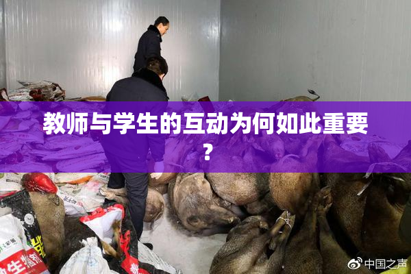 教师与学生的互动为何如此重要？