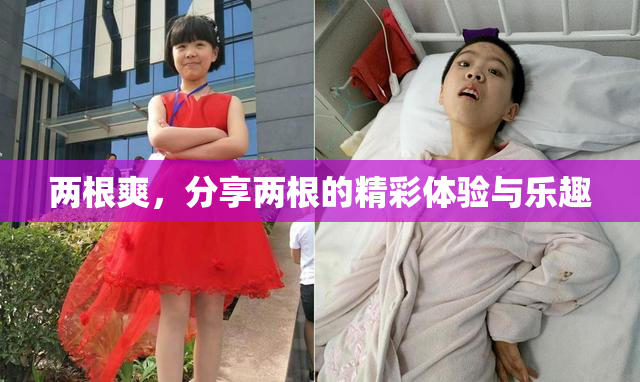 两根爽，分享两根的精彩体验与乐趣