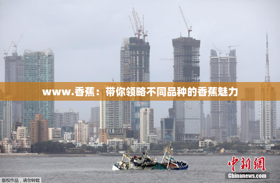 www.香蕉：带你领略不同品种的香蕉魅力