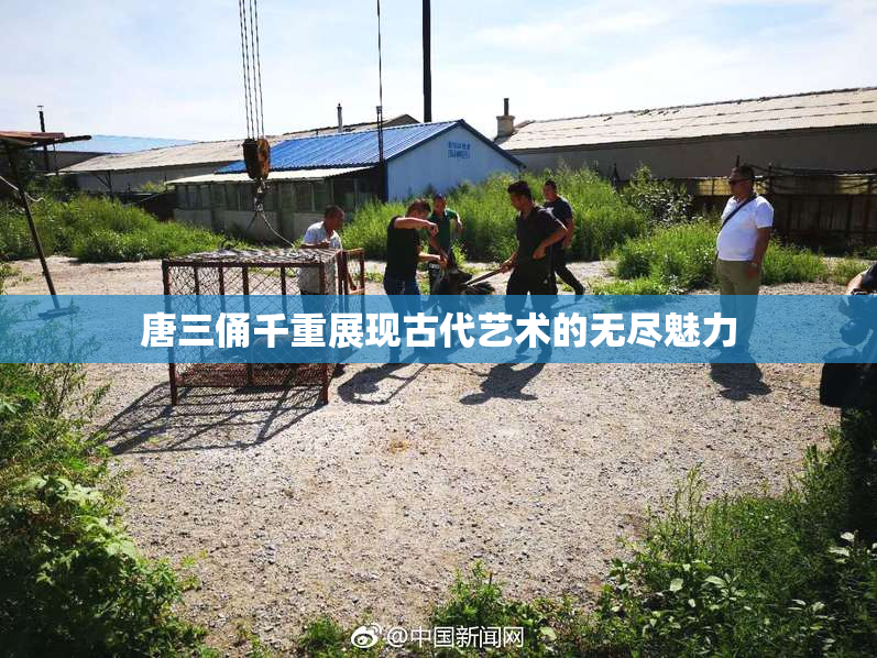 唐三俑千重展现古代艺术的无尽魅力