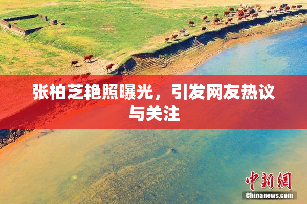 张柏芝艳照曝光，引发网友热议与关注