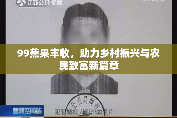 99蕉果丰收，助力乡村振兴与农民致富新篇章
