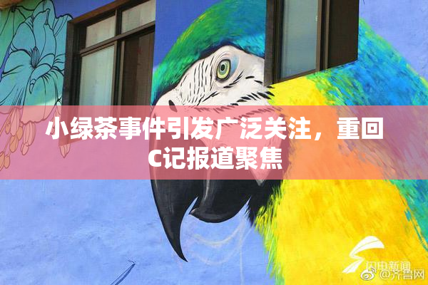 小绿茶事件引发广泛关注，重回C记报道聚焦