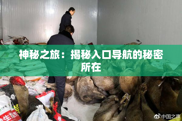 神秘之旅：揭秘入口导航的秘密所在