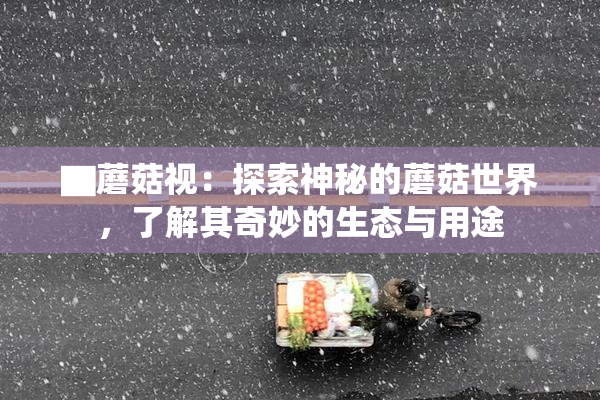 ▇蘑菇视：探索神秘的蘑菇世界，了解其奇妙的生态与用途