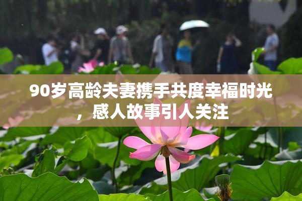 90岁高龄夫妻携手共度幸福时光，感人故事引人关注
