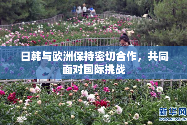 日韩与欧洲保持密切合作，共同面对国际挑战