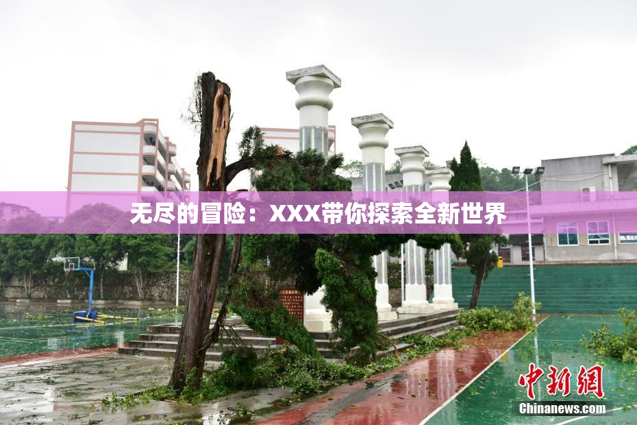 无尽的冒险：XXX带你探索全新世界