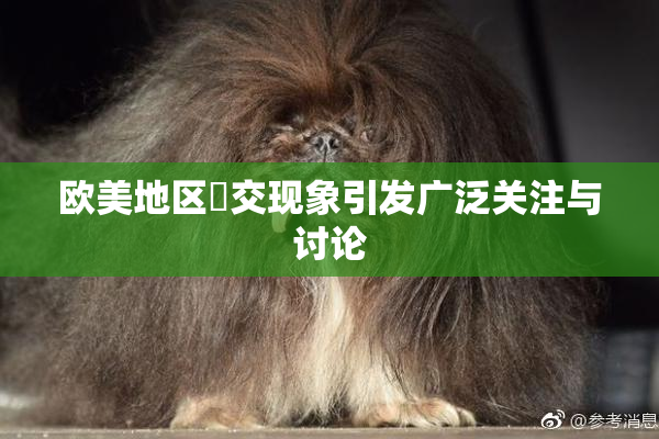 欧美地区嘼交现象引发广泛关注与讨论