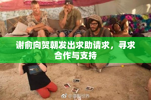 谢俞向贺朝发出求助请求，寻求合作与支持