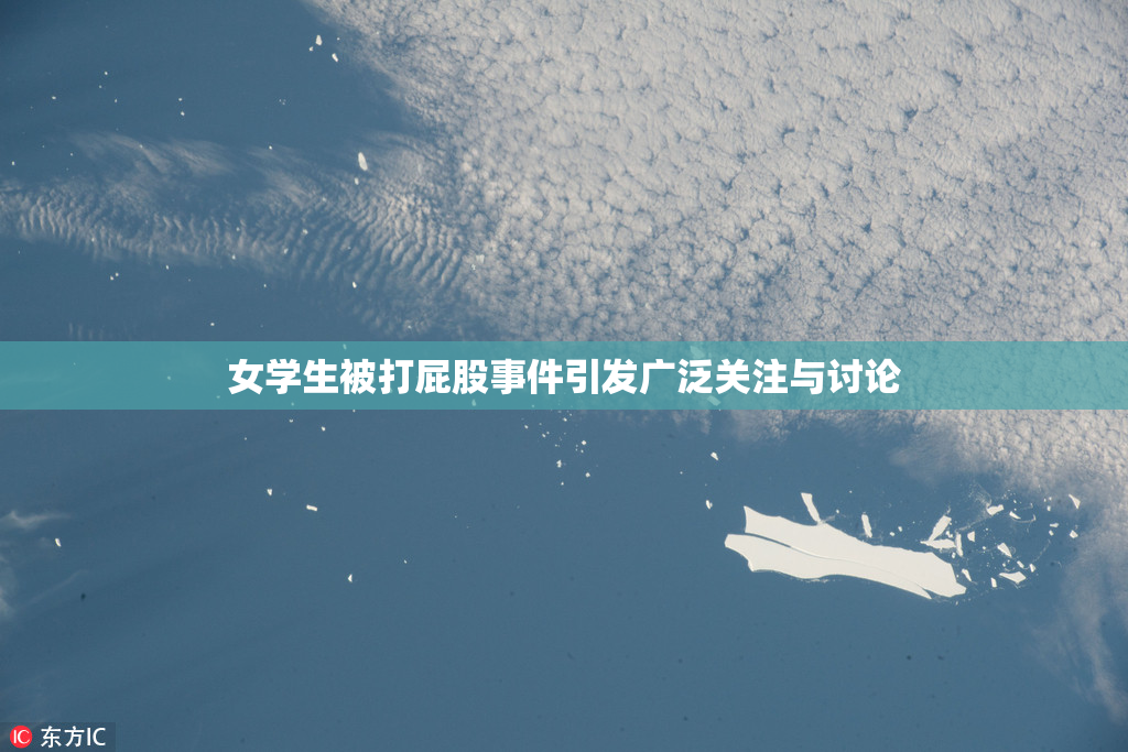 女学生被打屁股事件引发广泛关注与讨论