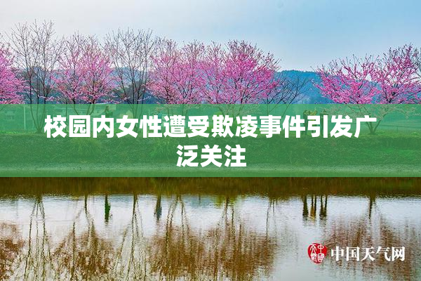 校园内女性遭受欺凌事件引发广泛关注