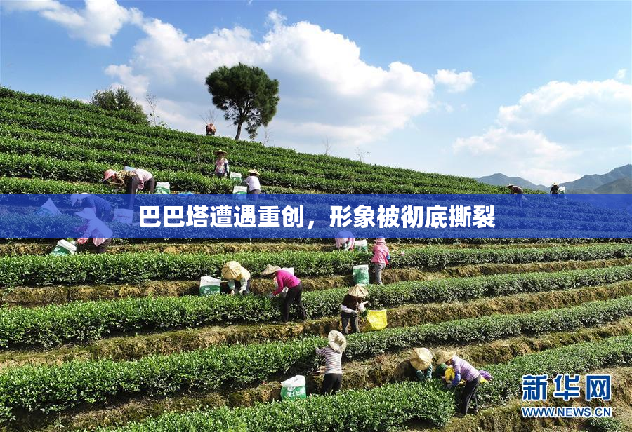 巴巴塔遭遇重创，形象被彻底撕裂