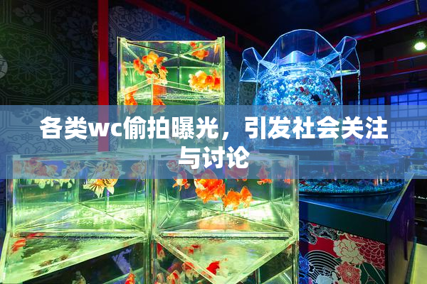 各类wc偷拍曝光，引发社会关注与讨论