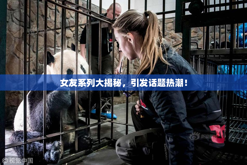 女友系列大揭秘，引发话题热潮！
